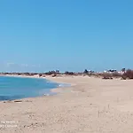Family * סאלבה